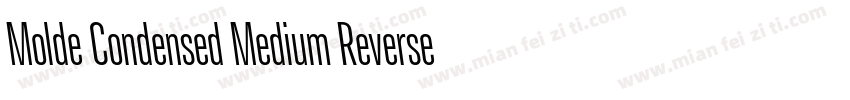 Molde Condensed Medium Reverse字体转换
